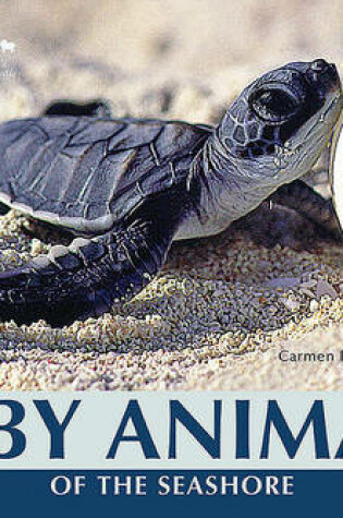 Cover of Baby Animals of the Seashore