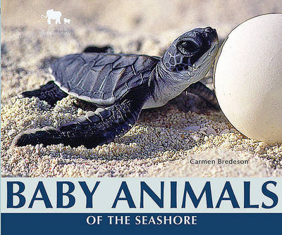 Cover of Baby Animals of the Seashore