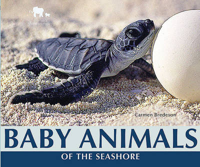 Book cover for Baby Animals of the Seashore