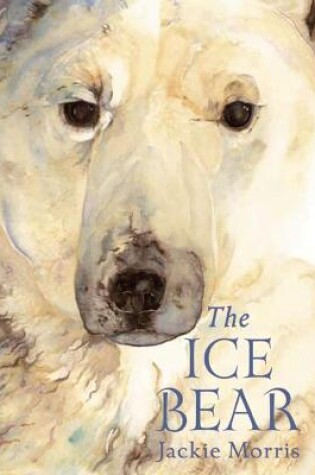 Cover of The  Ice Bear Mini Edition