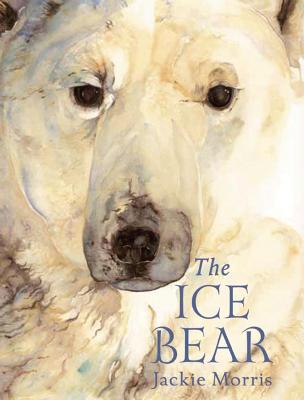 Book cover for The  Ice Bear Mini Edition