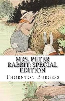 Book cover for Mrs. Peter Rabbit