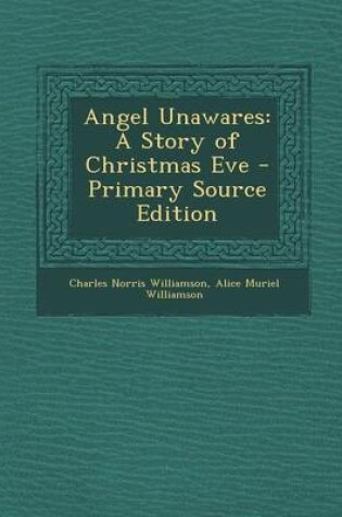 Cover of Angel Unawares