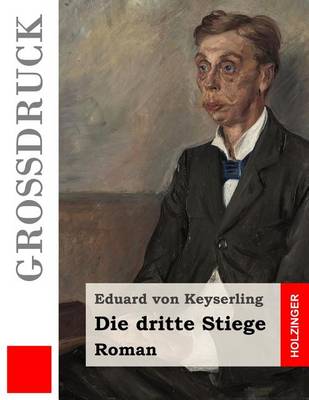 Book cover for Die dritte Stiege (Grossdruck)