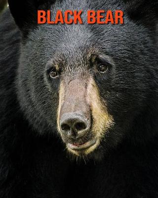 Book cover for Black Bear