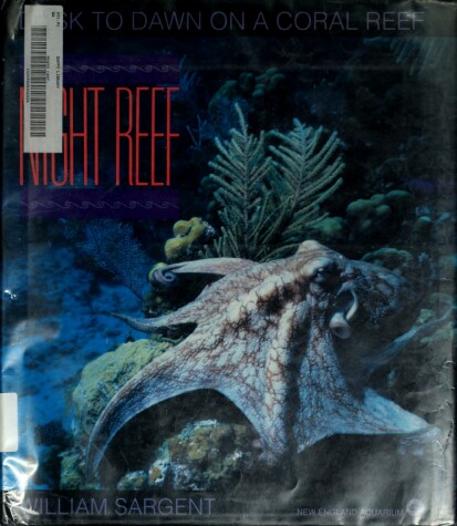Book cover for Night Reef