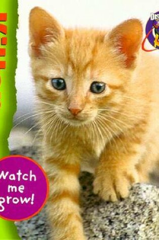 Cover of Watch ME Grow: Kitten