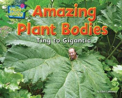 Book cover for Amazing Plant Bodies