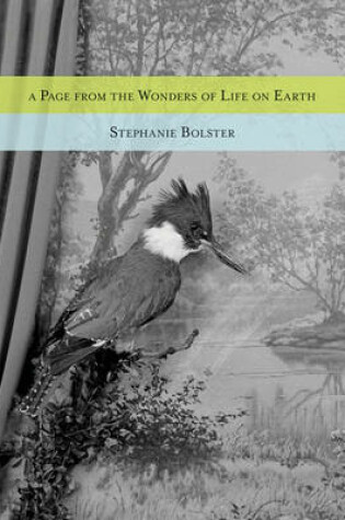 Cover of A Page from the Wonders of Life on Earth