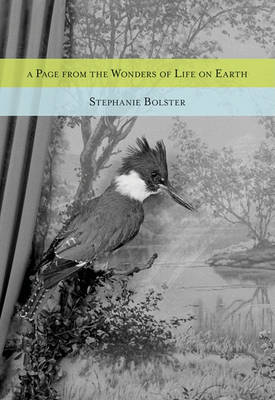 Book cover for A Page from the Wonders of Life on Earth