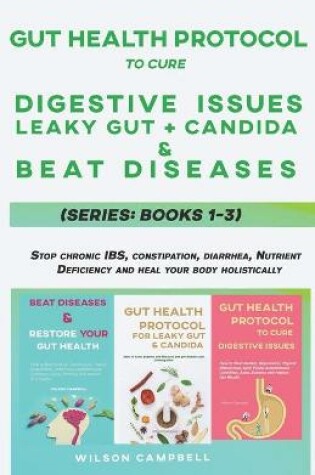 Cover of Gut Health Protocol to Cure Digestive Issues, Leaky Gut, Candida and Beat Diseases Series