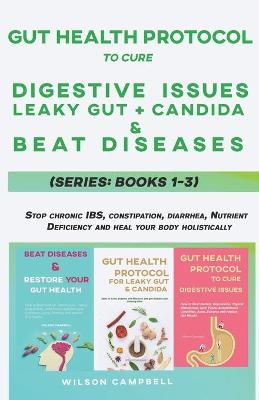 Book cover for Gut Health Protocol to Cure Digestive Issues, Leaky Gut, Candida and Beat Diseases Series