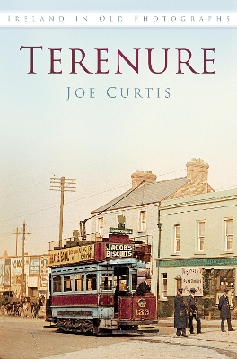 Book cover for Terenure