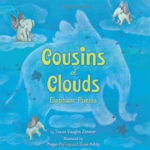 Book cover for Cousins of Clouds