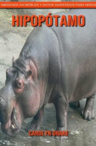 Cover of Hipopótamo