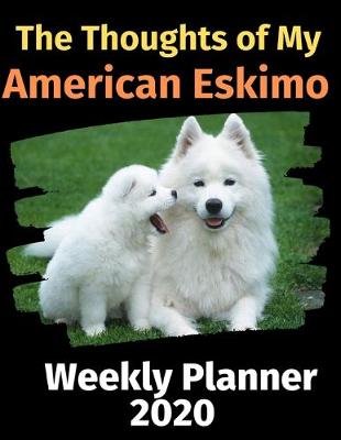 Cover of The Thoughts of My American Eskimo