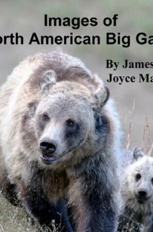Cover of Images of North American Big Game