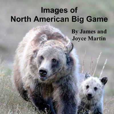 Book cover for Images of North American Big Game