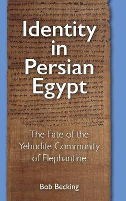 Cover of Identity in Persian Egypt