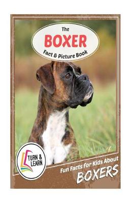 Book cover for The Boxer Fact and Picture Book
