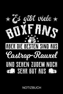 Book cover for Es gibt viele Boxfans aber die besten sind aus Castrop-Rauxel und sehen zudem noch sehr gut aus