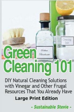 Cover of Green Cleaning 101 (Large Print Edition)