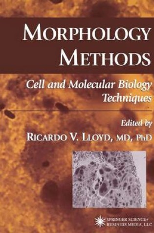 Cover of Morphology Methods