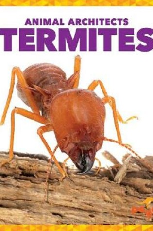 Cover of Termites