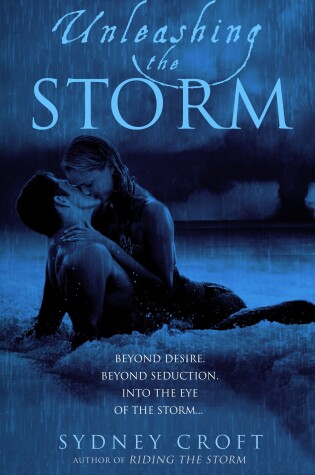 Cover of Unleashing the Storm