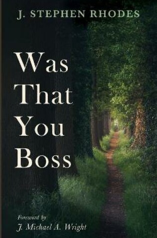 Cover of Was That You Boss