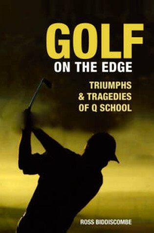 Cover of Triumph and Tragedies of Q School