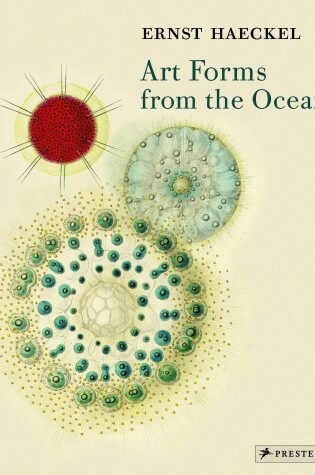 Cover of Art Forms from the Ocean
