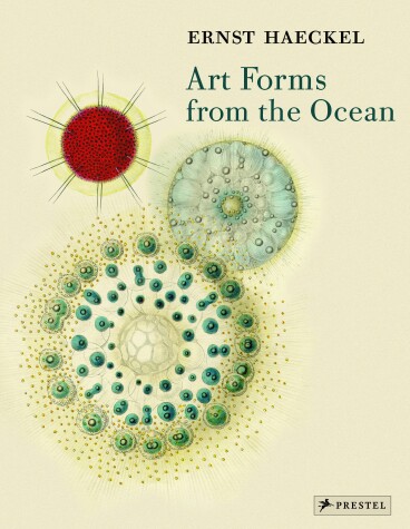Book cover for Art Forms from the Ocean
