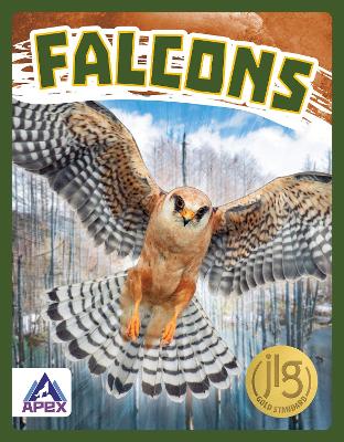 Book cover for Birds of Prey: Falcons