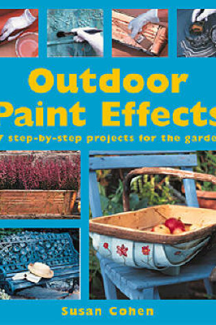 Cover of Outdoor Paint Effects