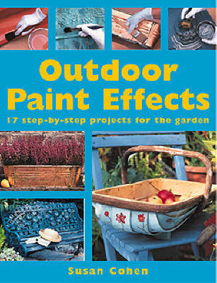 Book cover for Outdoor Paint Effects