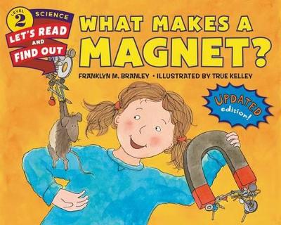 Book cover for What Makes A Magnet? (Revised Edition)