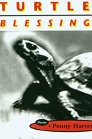 Cover of Turtle Blessing