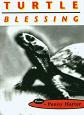 Book cover for Turtle Blessing