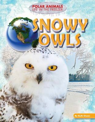 Book cover for Snowy Owls