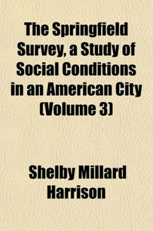 Cover of The Springfield Survey, a Study of Social Conditions in an American City (Volume 3)