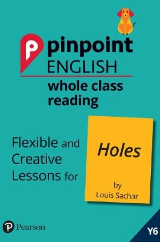 Cover of Pinpoint English Whole Class Reading Y6: Holes