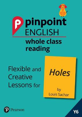 Book cover for Pinpoint English Whole Class Reading Y6: Holes