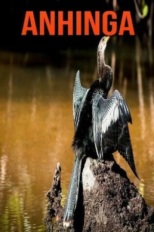 Cover of Anhinga