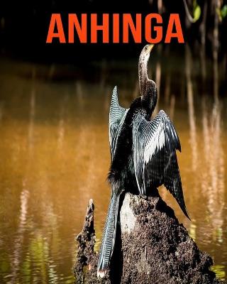 Book cover for Anhinga