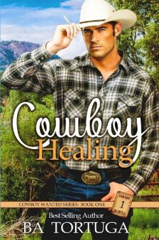 Cover of Cowboy Healing