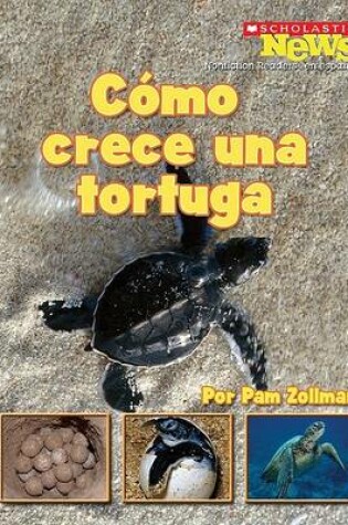 Cover of Como Crece una Tortuga