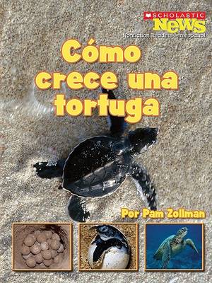 Book cover for Como Crece una Tortuga