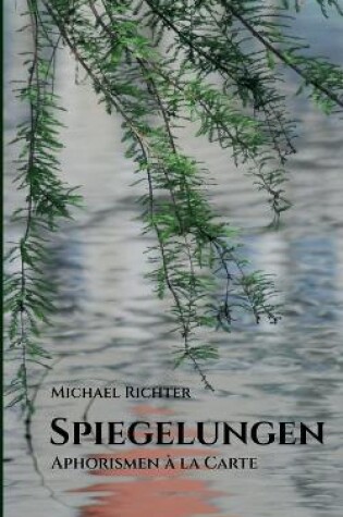Cover of Spiegelungen