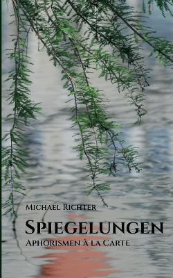 Book cover for Spiegelungen